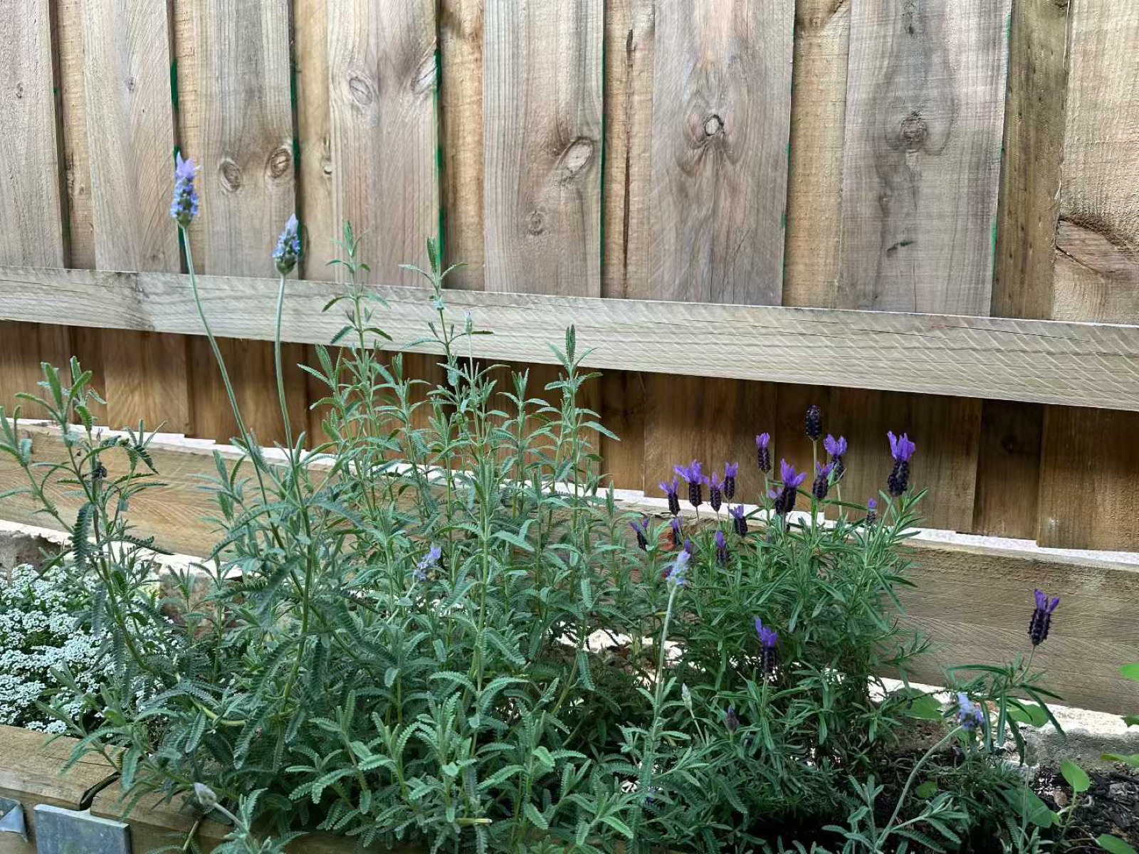Gardening